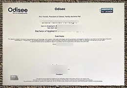 Odisee Hogeschool Qualification