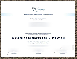 Rotterdam School of Management Qualification sample