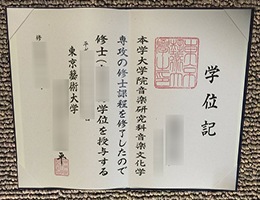 Tokyo University of the Arts Qualification Credentials sample