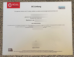 UC Leuven-Limburg Qualification sample