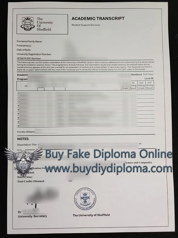 University of Sheffield Academic record