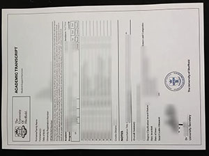 University of Sheffield Academic record sample