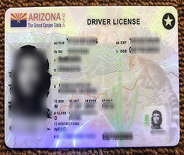 Arizona ID, Arizona Driver License Reproduction