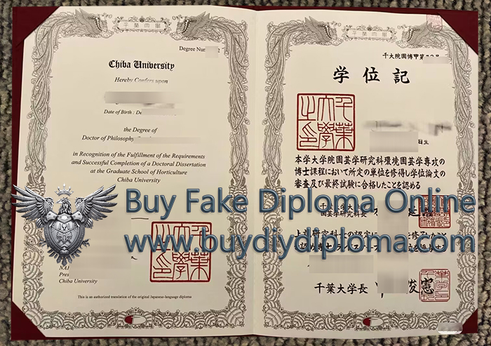 Chiba University Qualification, 购买千葉大学学位证书