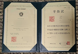 Chubu University Qualification Credentials
