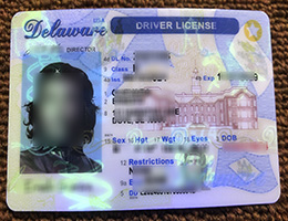 Delaware ID(Driver License Reproduction) sample