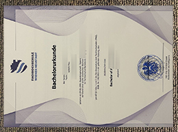 Fachhochschule Wiener Neustadt Credentials