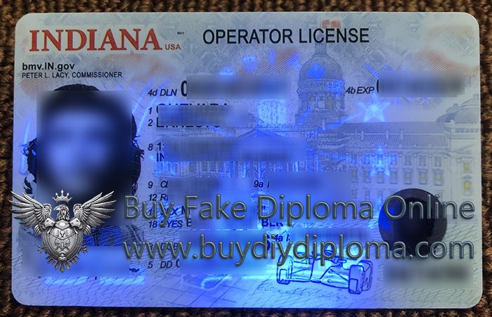 Indiana ID, Indiana Operator's License sample