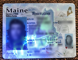 Maine ID (Driver License Reproduction) sample