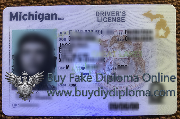Michigan ID (Driver License Reproduction)