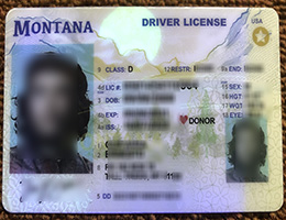 Montana ID (Driver License Reproduction) sample