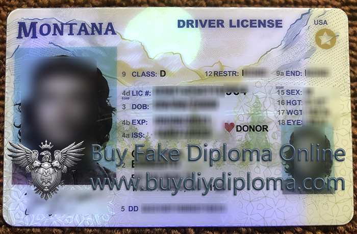Montana ID (Driver License Reproduction)