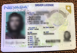 Nevada ID, Nevada Driver License Reproduction
