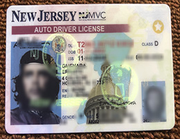 New Jersey ID, New Jersey Driver License Reproduction