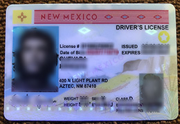 New Mexico ID(Driver License Reproduction) sample