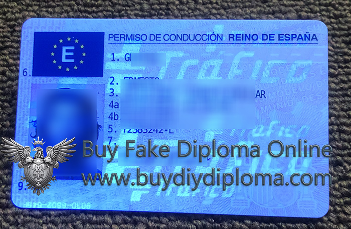 Permiso De Conduccion Reino De Espana