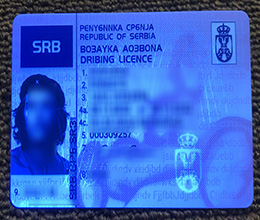 Serbia Driver License Reproduction