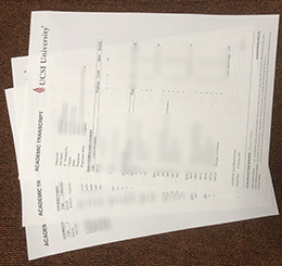 UCSI University Academic record