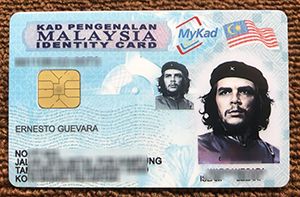 Get a MyKad, Request a Malaysian identity card