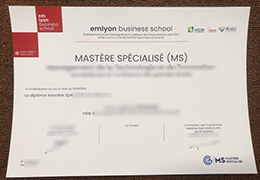 Em Lyon Business School Qualification
