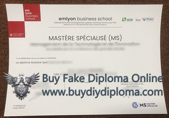 Em Lyon Business School Qualification