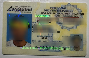 Louisiana Novelty ID Drving License sample