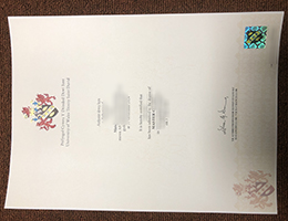 University of Wales Trinity Saint David Credentials sample