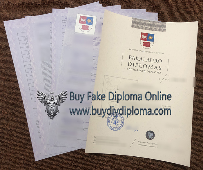 Kauno technologijos universitetas Credentials and Academic record