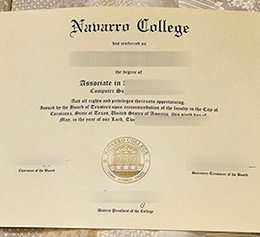 Navarro College Qualification Credentials