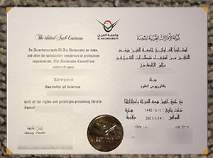 Al Ain University Credentials sample