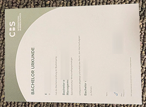 CBS International Business School Urkunde
