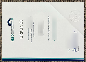 HSD Hochschule Döpfer Credentials sample