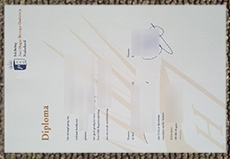 Stichting Post HBO Credentials