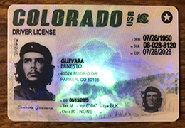Colorado Driver License Reproduction sample
