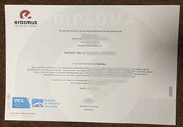 Erasmushogeschool Brussel Credentials