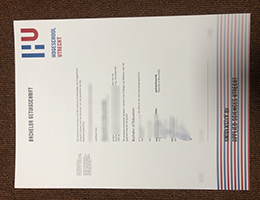 Hogeschool Utrecht Bachelor Getuigschrift sample