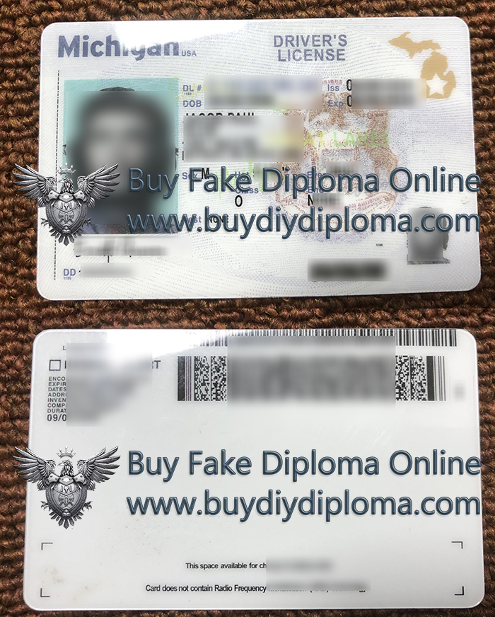 Michigan Driver License Reproduction ID