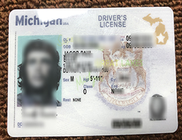 Michigan Driver License Reproduction
