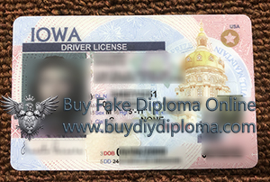 Scannable IOWA Driver License Reproduction