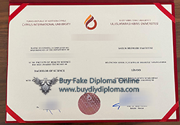 Uluslararası Kıbrıs Üniversitesi Credentials sample