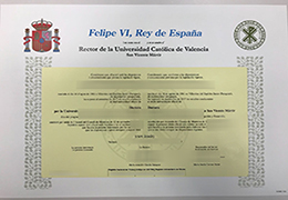 Universidad Católica de Valencia San Vicente Mártir Qualification