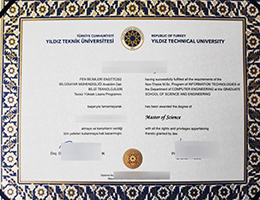 Yıldız Teknik Üniversitesi Credentials