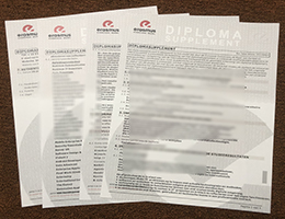 Erasmushogeschool Brussel Academic record