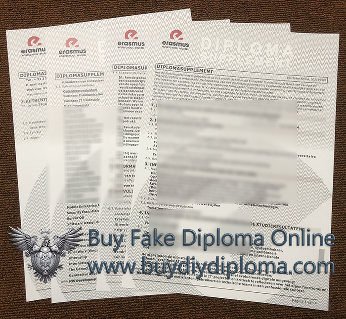 Erasmushogeschool Brussel Academic record