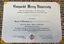 Gwynedd Mercy University Qualification Credentials