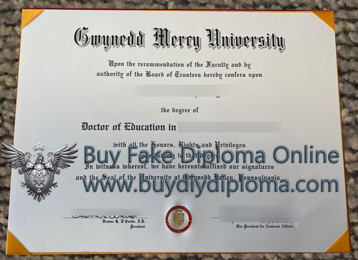 Gwynedd Mercy University Qualification