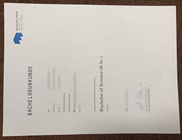 Hochschule Mainz Urkunde sample