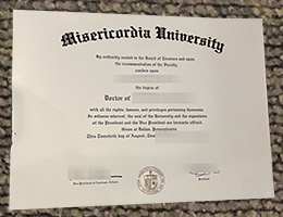 Misericordia University Qualification