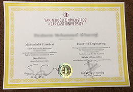 Near East University Credentials sample
