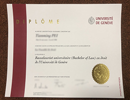 Université de Genève bachelor's Qualification Credentials